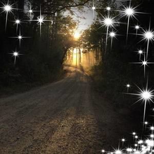 Meet your Posher, Callie